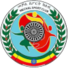 埃塞俄比亚国防军